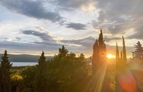 M Plus Residence - Photo 14