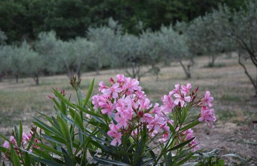 Moulin des Gypses Gîte Les Pierres Blanches, Ventoux - Foto 29
