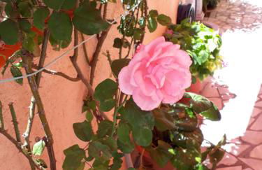 Krinelos Rooms - Photo 29