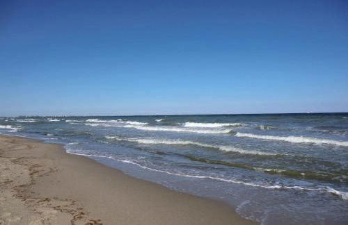 Strandliebe - Foto 17