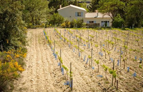 Villa Cantirane - Foto 50