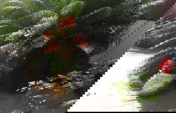 Maison Dhôte Abanna - Foto 13