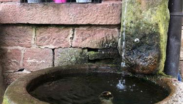 Ferienwohnungen Hanst - Foto 3