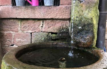 Ferienwohnungen Hanst - Foto 3