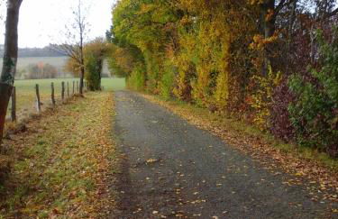 Ferienwohnungen Blum - Foto 31