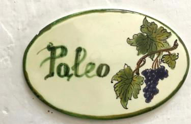 Il Pezzatino - Foto 158