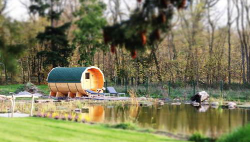 Naturferienhof Märkisch Luch - Trapphahn - Foto 5, Garden, Garden view