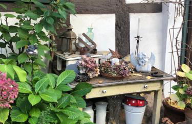 Platzhirsch Seligenstadt - Im Herzen der Altstadt - Foto 12