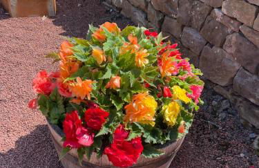 Yellow House - Foto 32