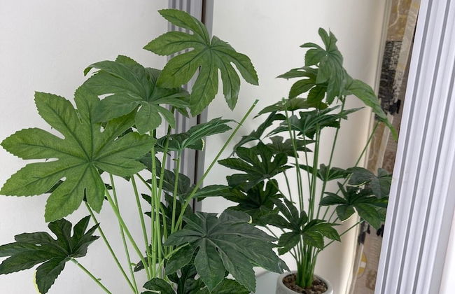 Marassi North Coast Verdi Chalet 3br - Foto 9