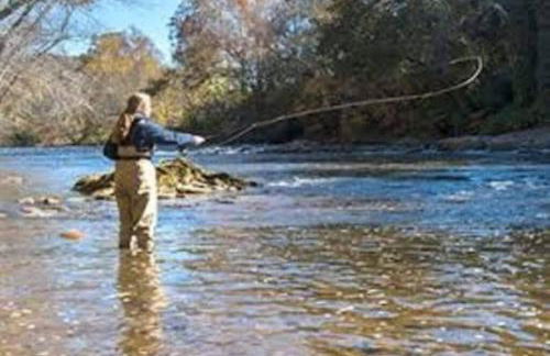 Art's Bungalow-wooded seclusion 1 mi to Deep Creek and Bryson City - Foto 29