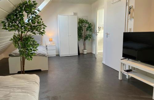 Wohnung 4 Eppertshausen - Foto 8