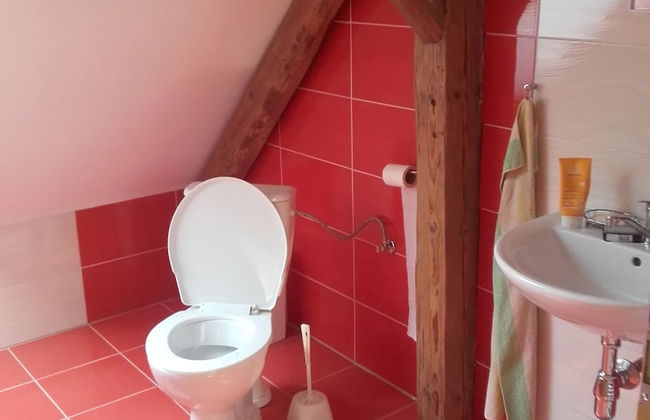 Kyprův mlýn - Photo 28