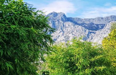 Spacious garden house, Orebić (4+1) - Photo 26