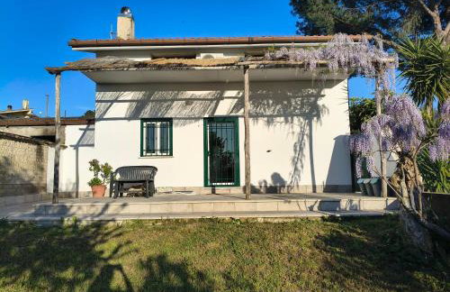 All'ombra del pino ALLOGGIO TURISTICO - Foto 12