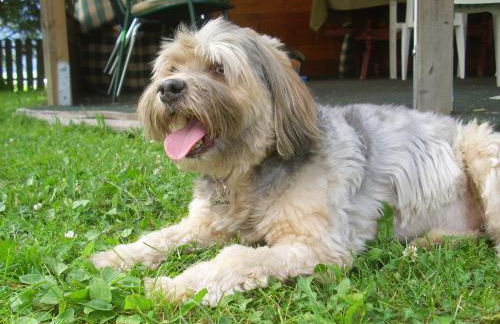 Apartments Residence Montana - Photo 17