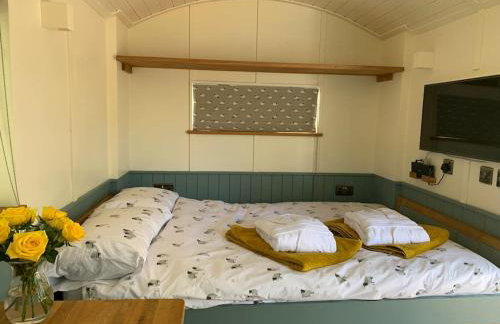 Romantic Shepherds hut with stunning sunsets - Photo 23