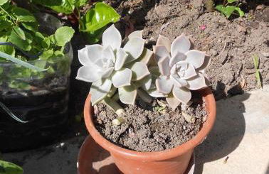 Moradias Ode - Photo 37