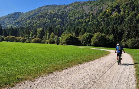 Cimus Home - Photo 35