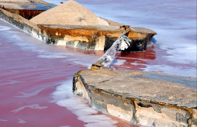 Visita guiada pelas salinas de Torrevieja - Foto 8