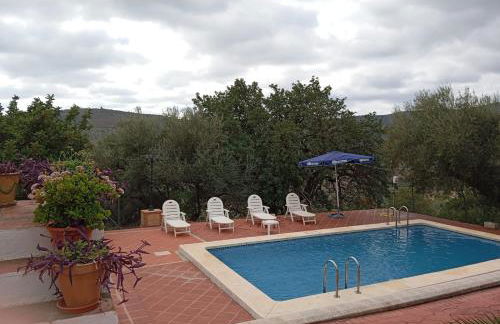 Los Tréboles - Foto 2