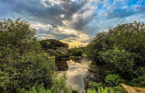 Haytor Court, Haytor, Dartmoor - The Moor on Your Doorstep - Foto 34
