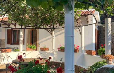 Il Tondo Garden, Lacco Ameno, Ischia - Foto 14