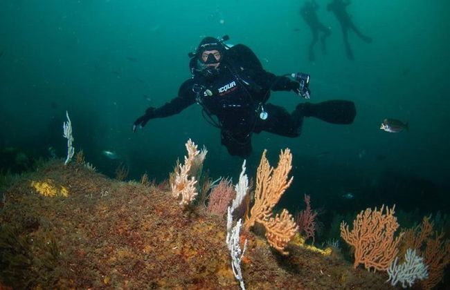 Double plongée dans le fantastique parc Ocean Revival - Photo 7