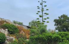 Reposant, Calme, Vue Mer imprenable à 2 m de l'eau, Petit Port Typique Breton - Foto 44