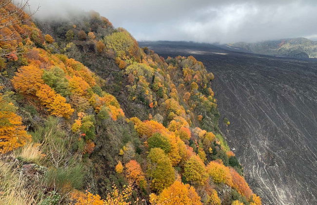 Tour en 4x4 por el Etna - Foto 4