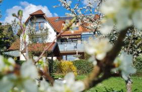 Pension Höchemer - Foto 29