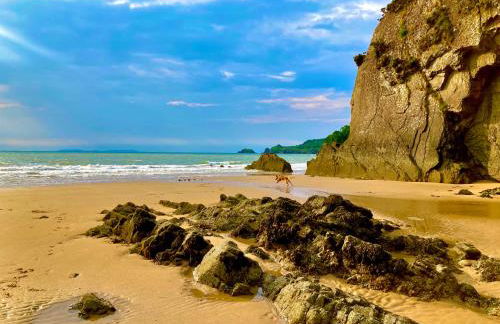 Harbour Reach - 2 storey apartment in Saundersfoot - Photo 35