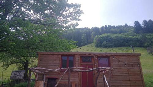 Roul'om - Foto 1, Garden view