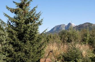 WRÓBLOWA CHALET przy Dolinie Chochołowskiej - Foto 31