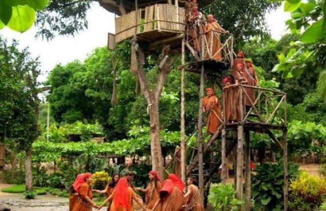 Tour por el valle del Perené y cataratas de Chanchamayo - Foto 2