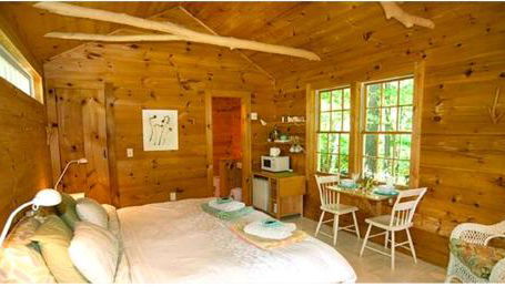 Custom Cabin Surrounded by River in Newfane, Vermont - Foto 3