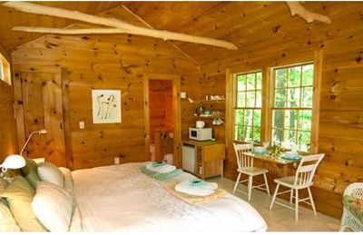 Custom Cabin Surrounded by River in Newfane, Vermont - Foto 3