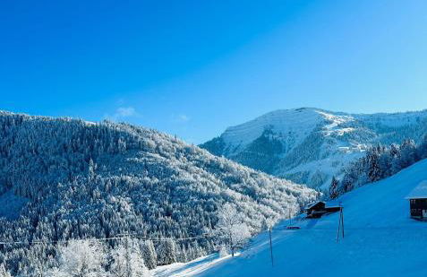 Landhaus Eibelesee - Foto 66