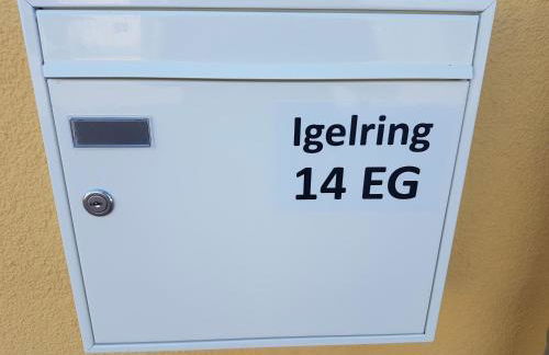 Sonnenstrahl im Küstenwald - Foto 22