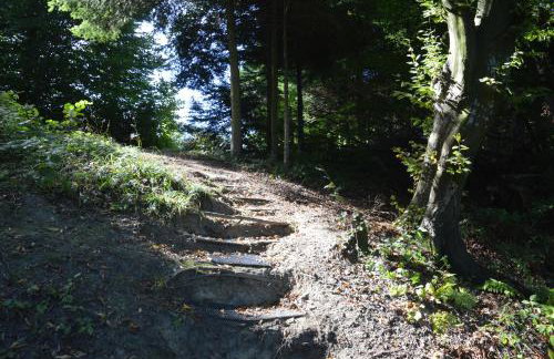 Domki Pod Lasem - Photo 30