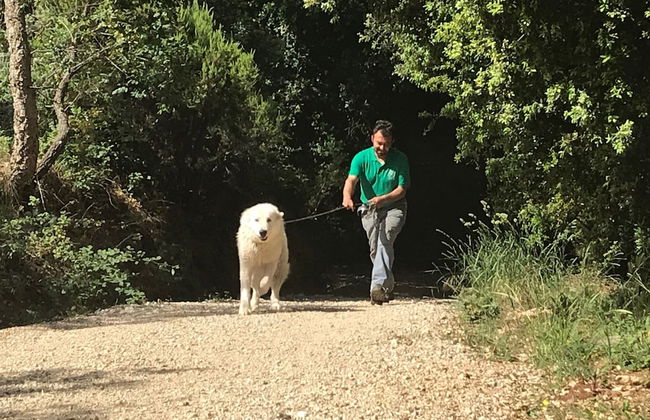 Le Carolee - Foto 31