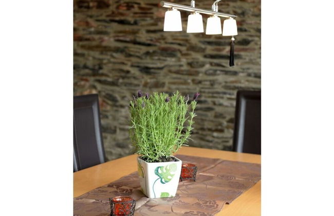 Uitzicht op de Moezel in Urzig - Photo 13