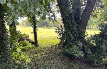 Le nid de Sitelle, appartement, piscine et sauna - Foto 51