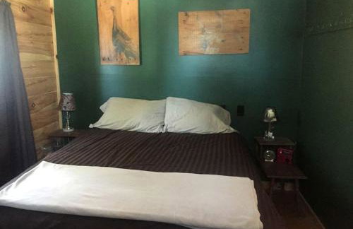 Charming Lakefront Cabin Rental with a Fire Pit near Brownville, Maine - Foto 4