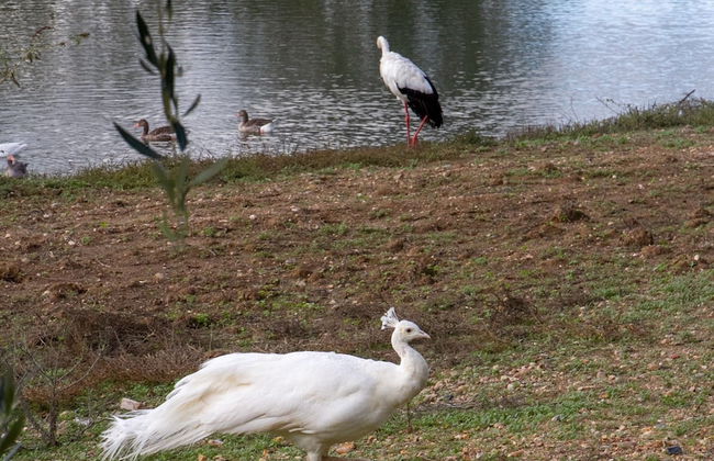 Vivienda Rural el Retorno - Foto 57
