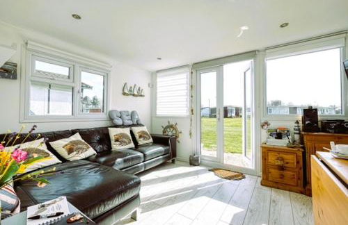 The Happy Hedgehog - Foto 19