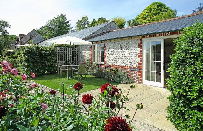 Little Scarlet - Foto 15