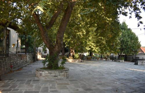 Panorama Studio Afetes - Photo 18