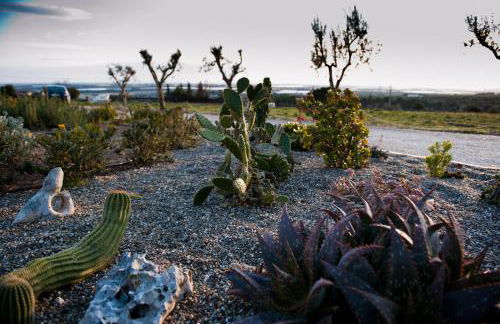 Masseria La Gravina - Foto 43