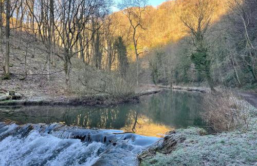 River View - Photo 26